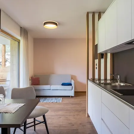 Apartment App. Col Toronn - Ciasa Lavarella